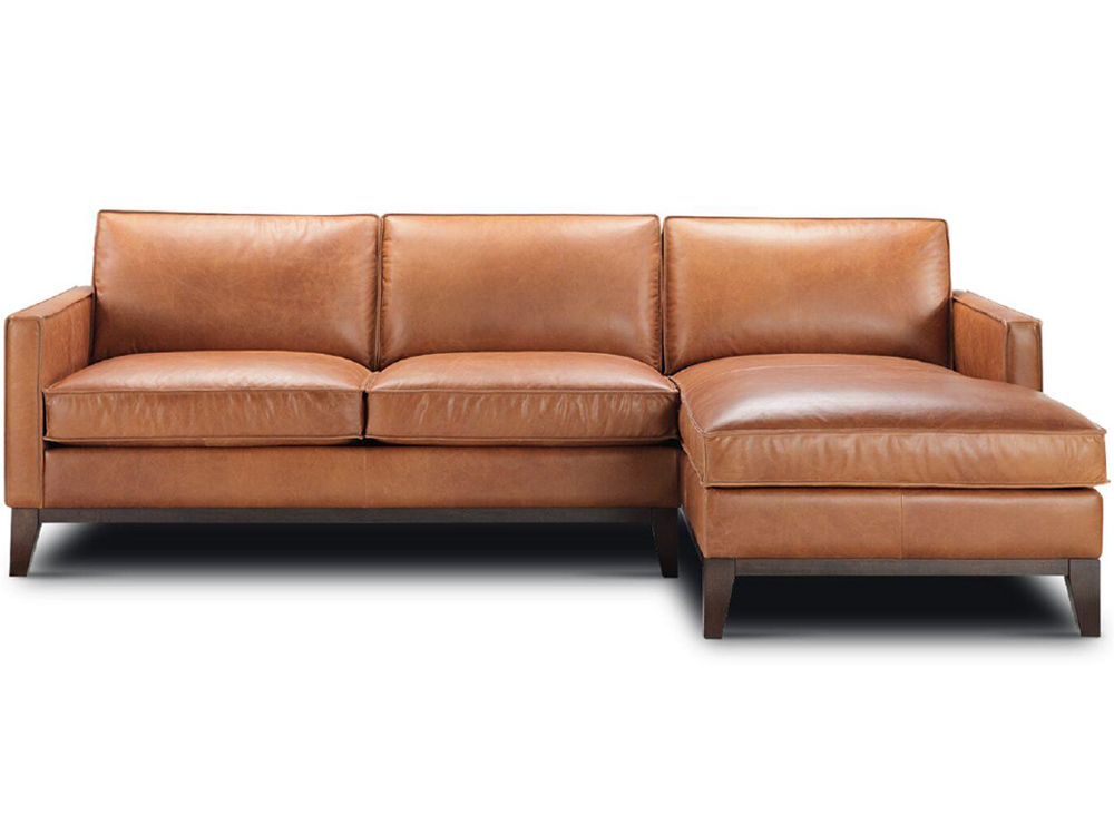 audrey leather sectional