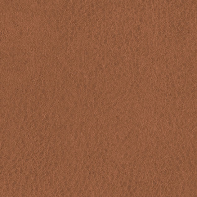 Oregon 15WE Brown Natuzzi Leather Editions Coverings