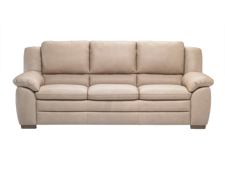 A450 Leather Sofa A450 Natuzzi