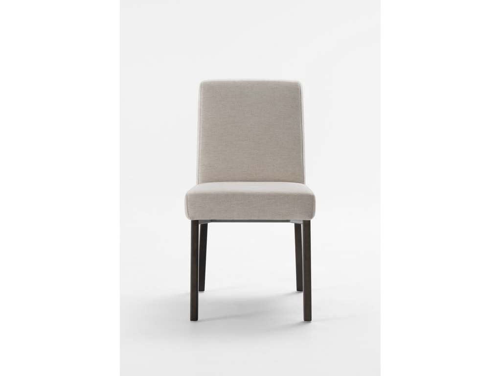 Dining Chair  Trica
