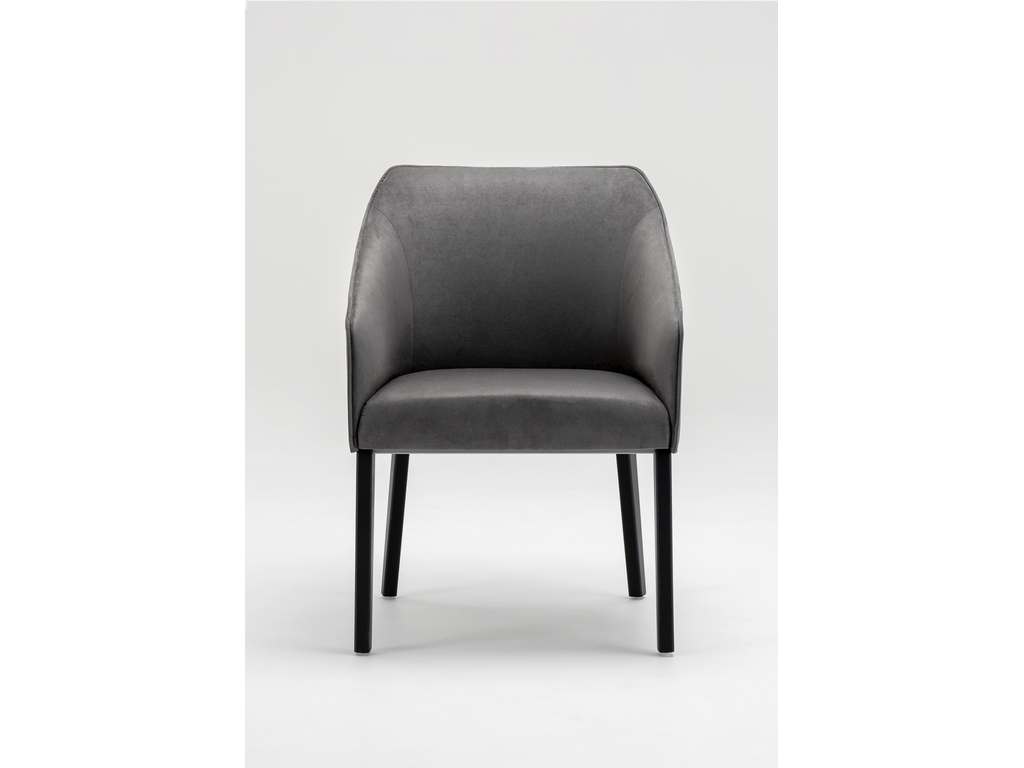 Dining Chair  Trica
