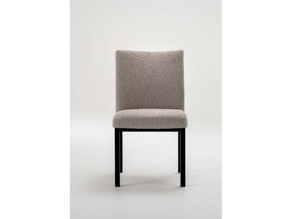 Dining Chair  Trica