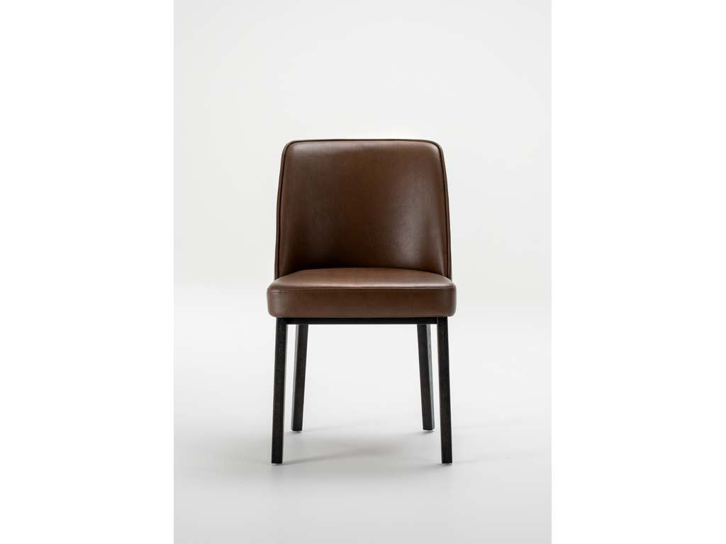 Dining Chair  Trica