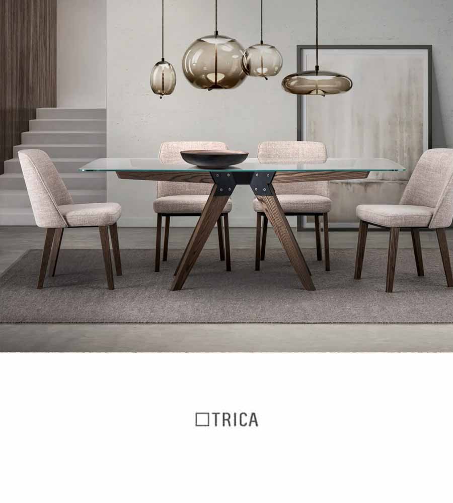 Trica Furniture